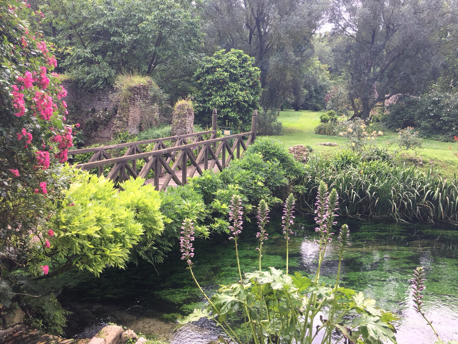 宁芙花园(ninfa garden)——随任在意大利