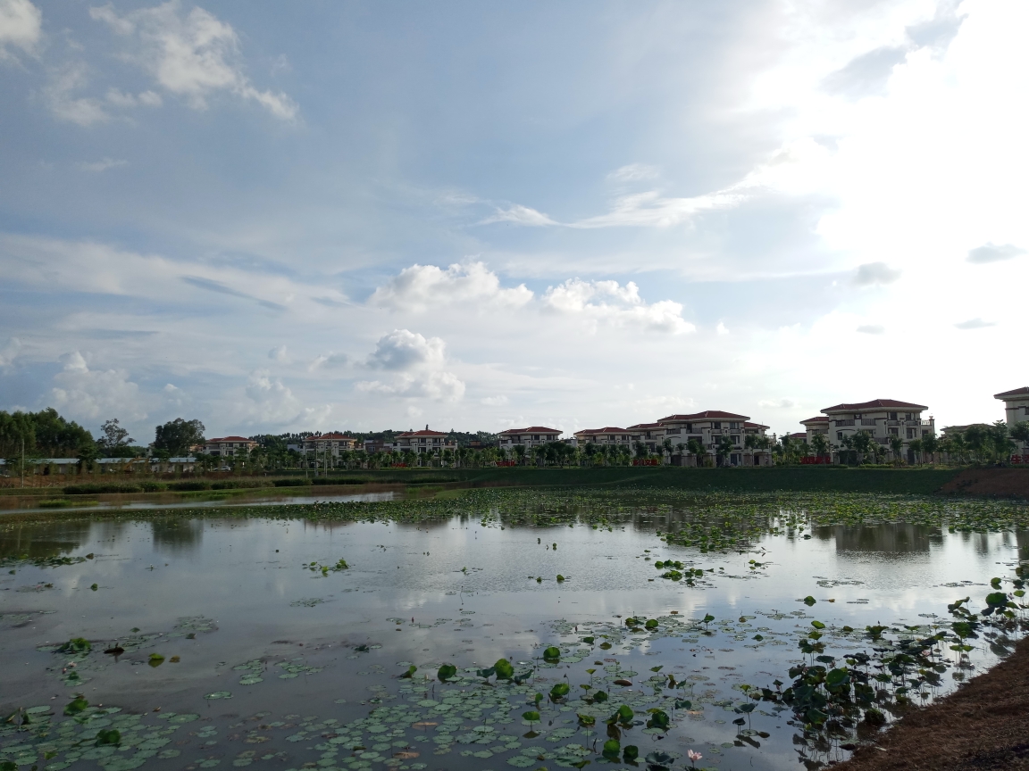 2018-8-19 遂溪探官湖 水绕别墅村