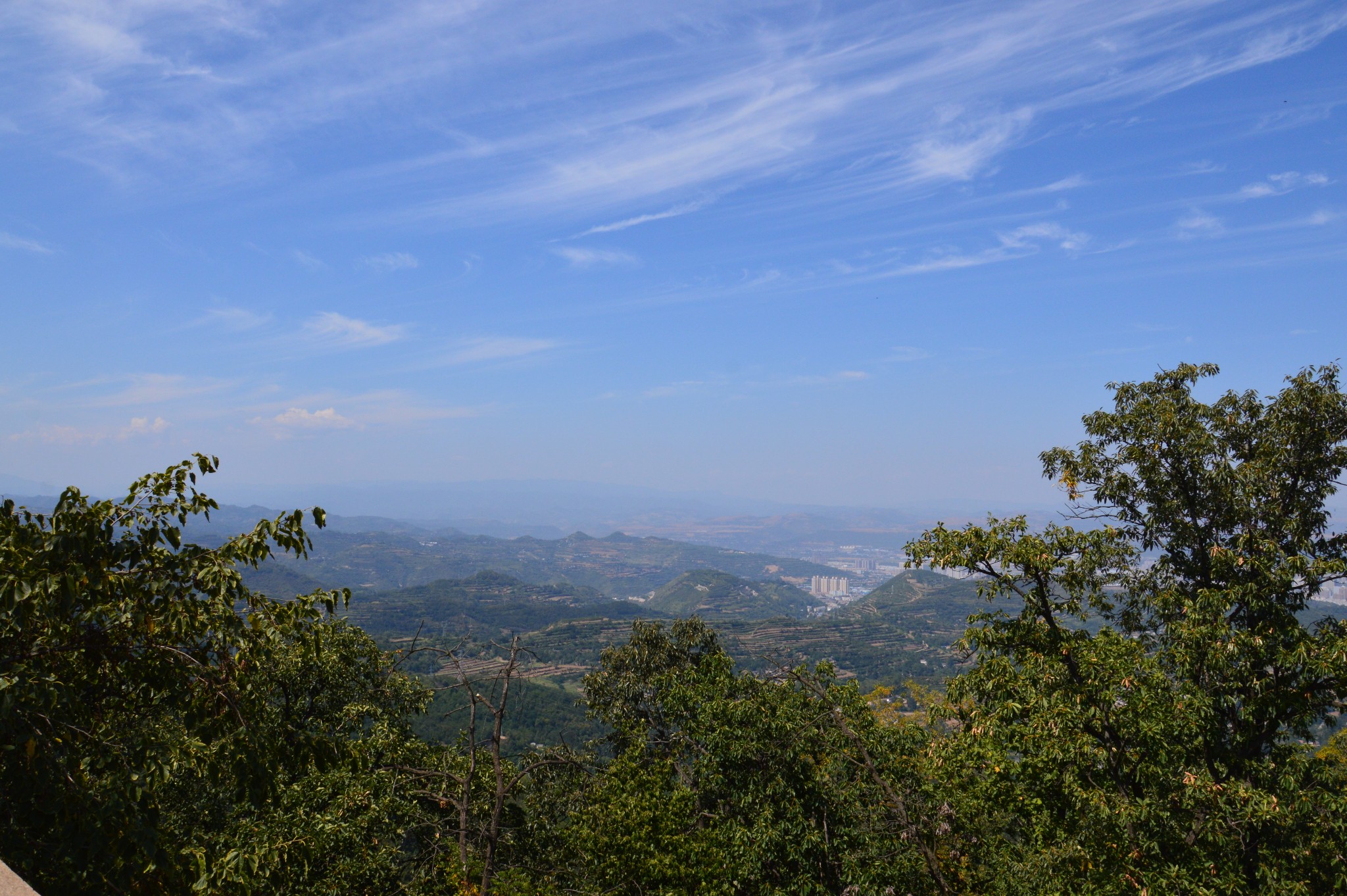 wKgBEFrYSlyAd0lEAAvd_bowACM31.jpeg?imageView2%2F2%2Fw%2F600%2Fh%2F600%2Fq%2F90