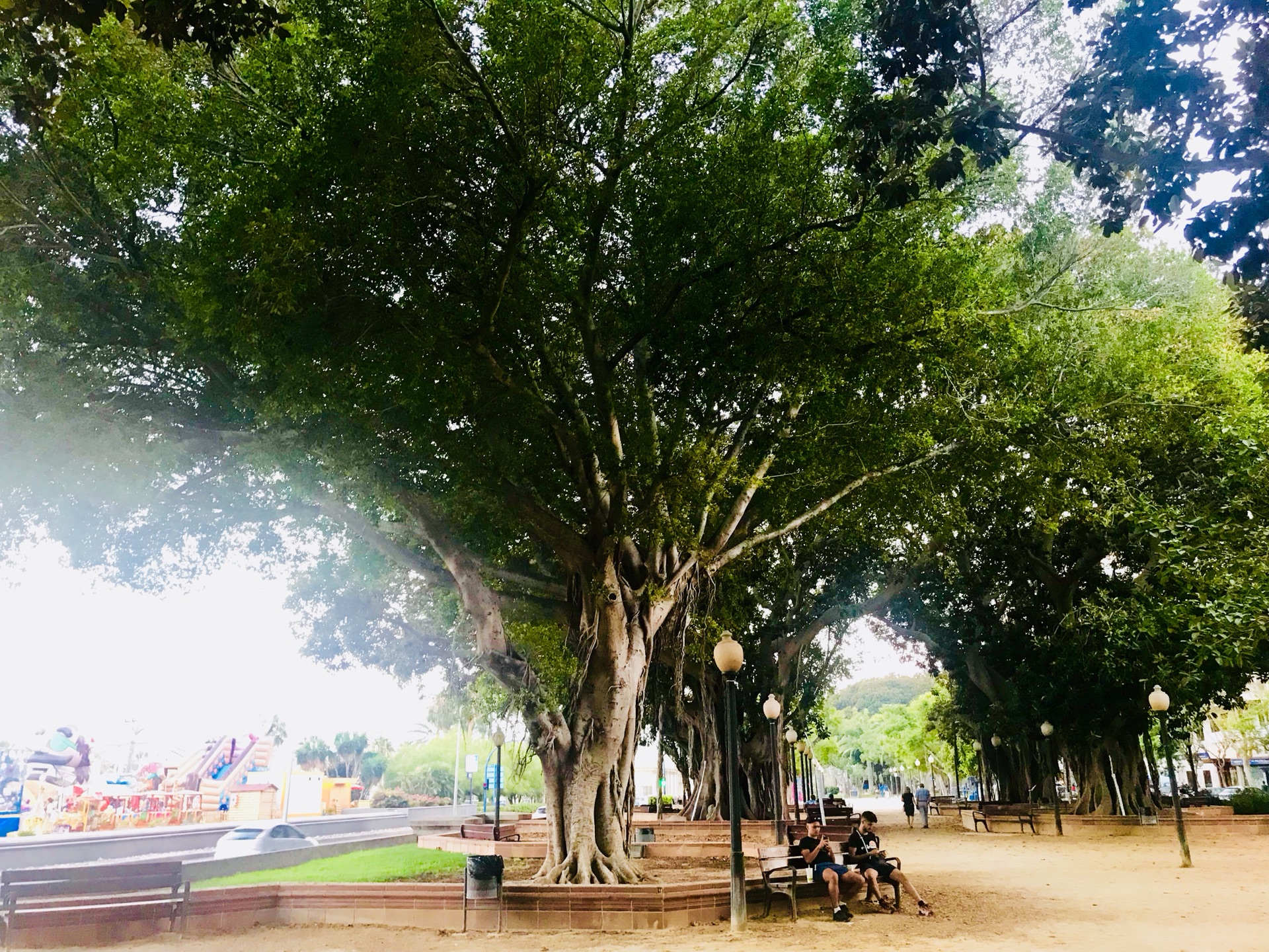 阿利坎特:棕榈树下的海滨小城