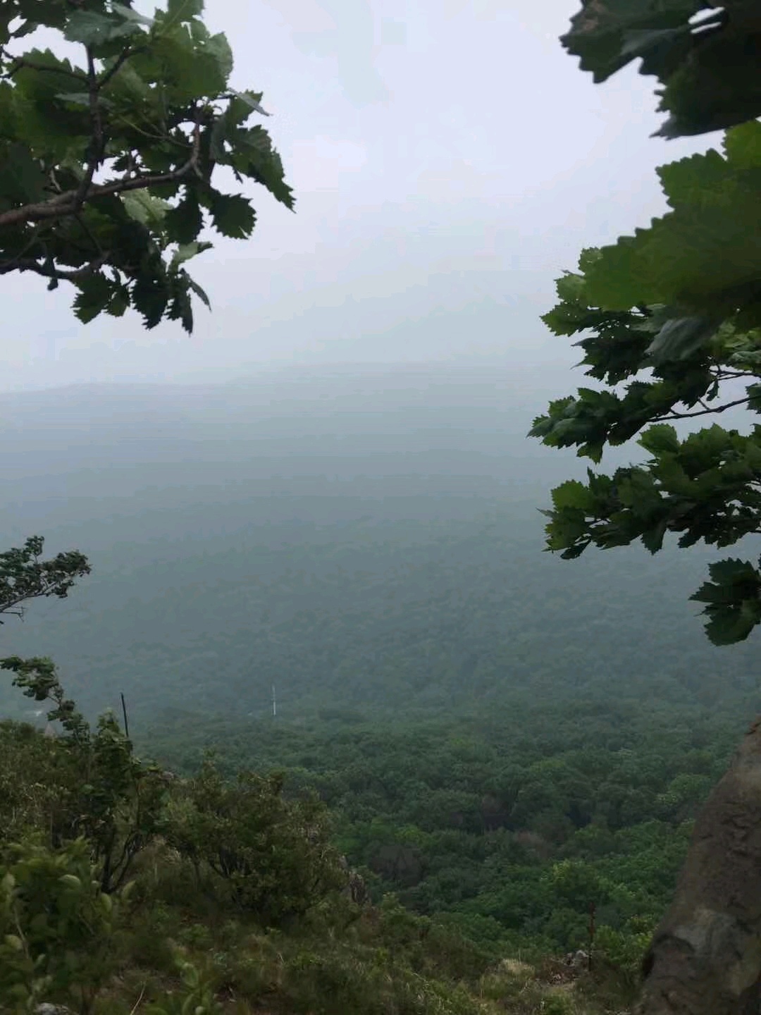 【宾县景点图片】宾县香炉山滑雪场(...