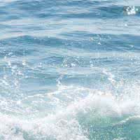 南边的铅笔是绿色的