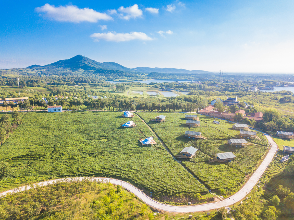 【金坛景点图片】茅山森林世界