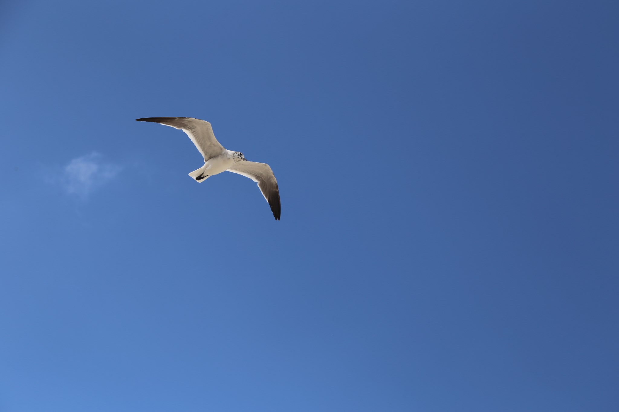 坎昆の阳光海滩比基尼_游记