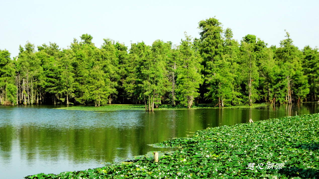 常熟古城主题游：夏尚湖