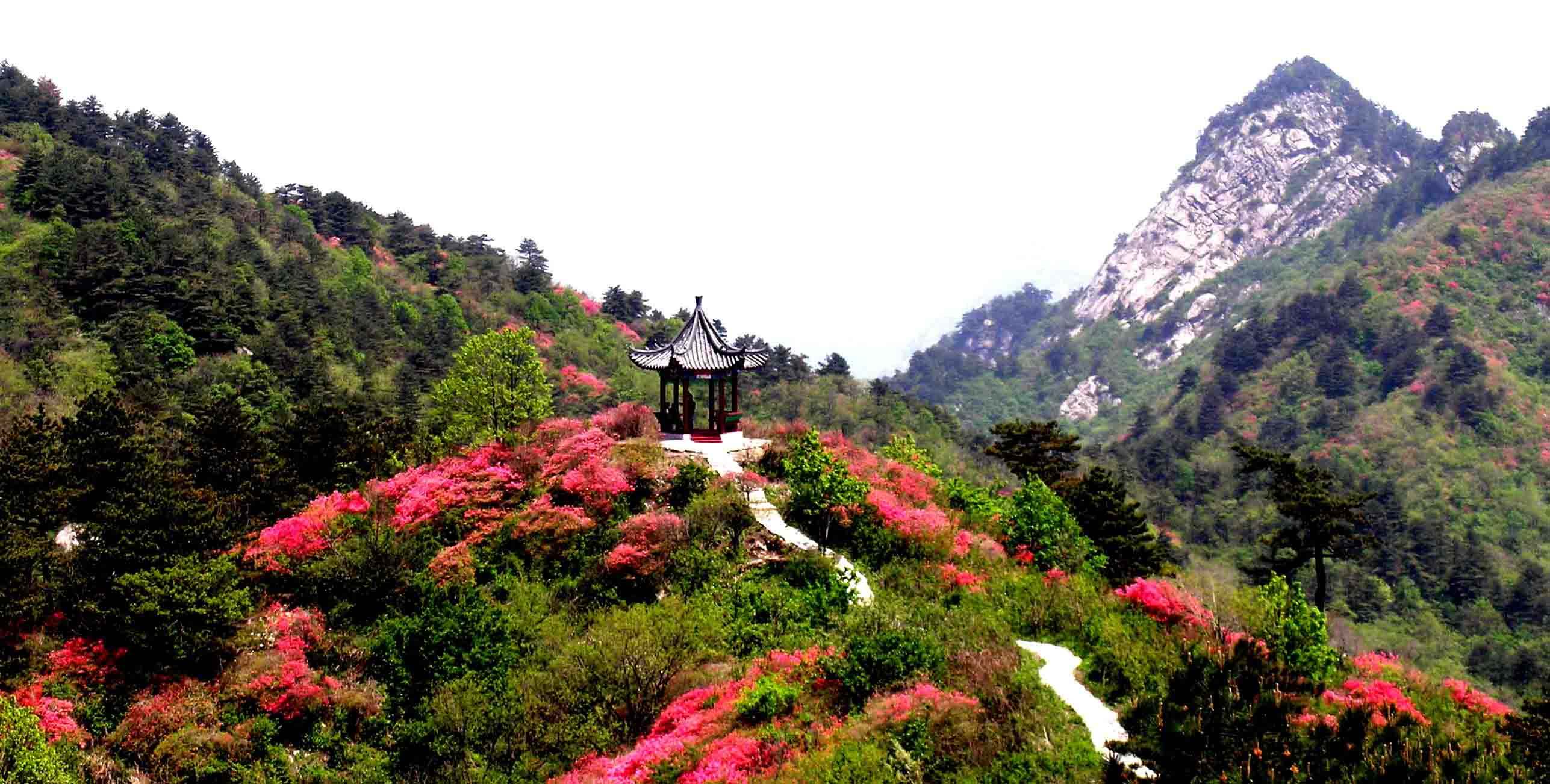 湖北黄冈麻城龟峰山景区电子票(限时优惠/踏青必选/三生三世十里杜鹃