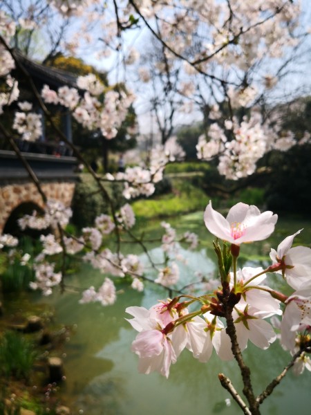 火车站可以带花进去吗 wKgBEFq8366AeyJeAAh6E7spMVQ85.jpeg?imageView2%2F2%2Fw%2F600%2Fh%2F600%2Fq%2F90