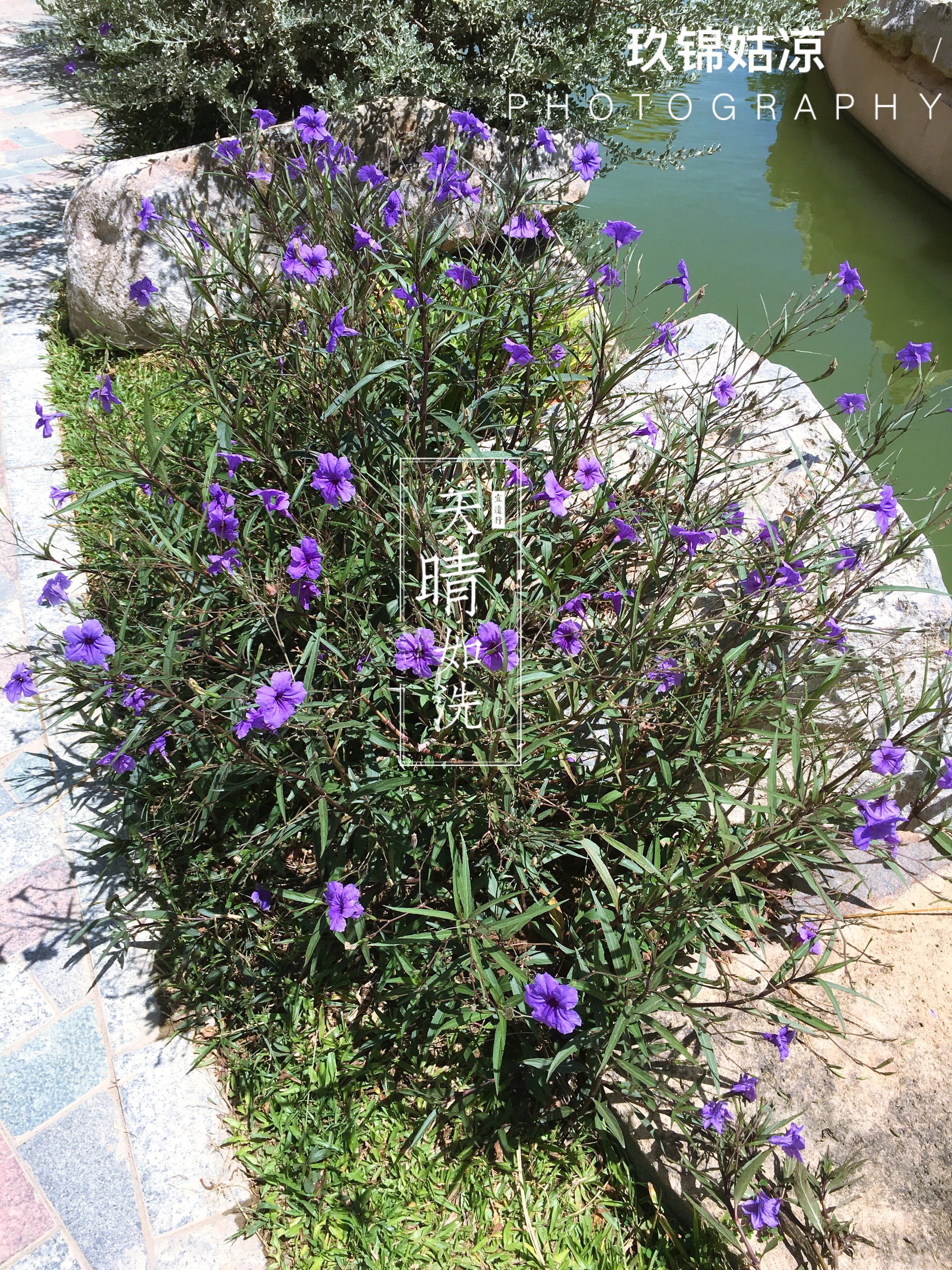 芽庄美食-Sakura Cafe