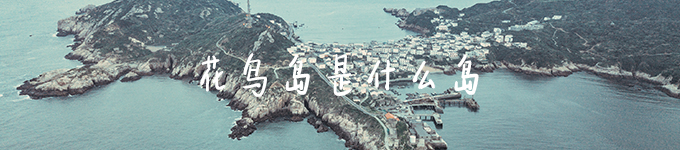 花鸟岛是什么岛