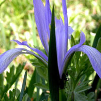 涂静茹林