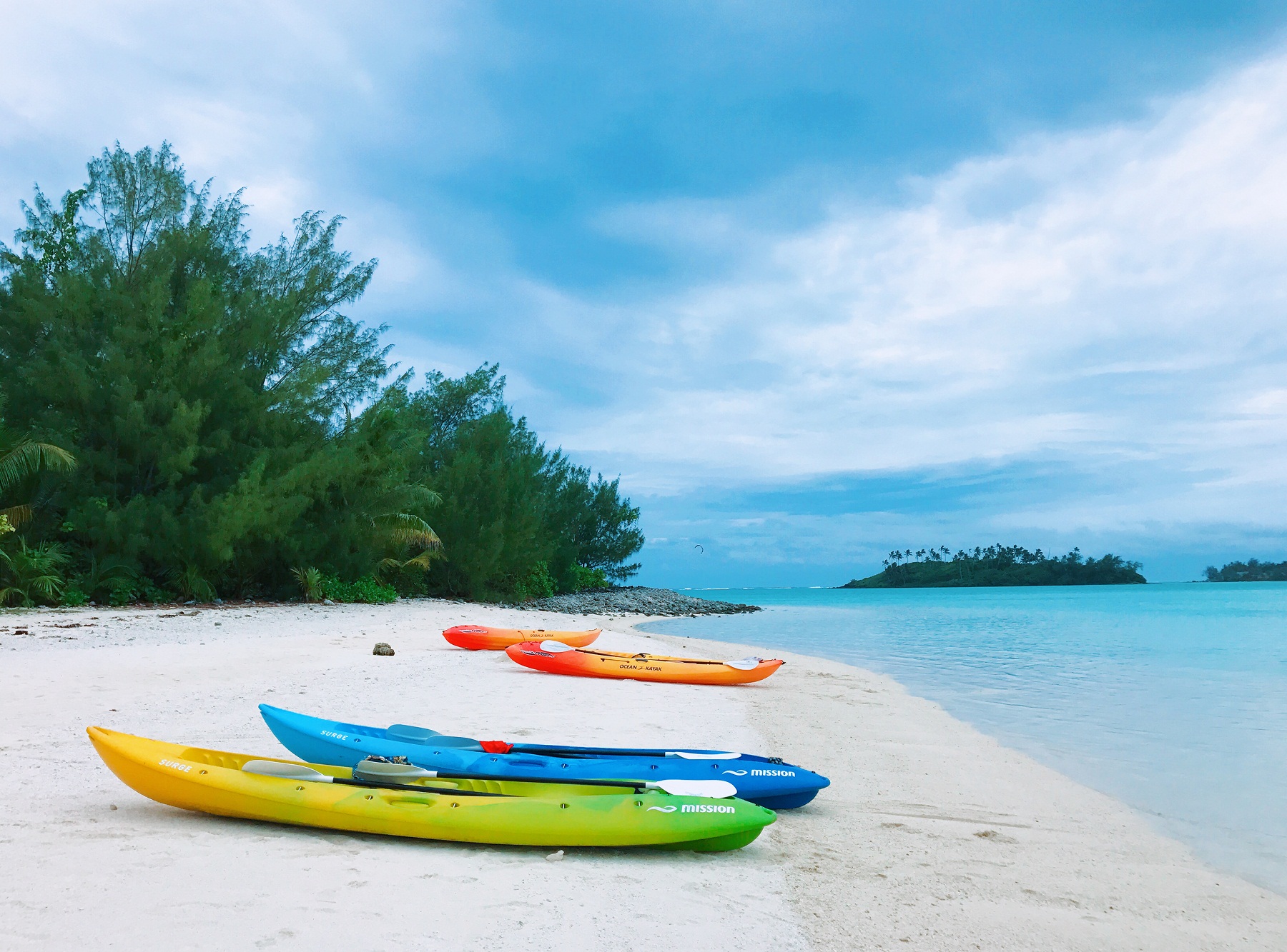 避世岛国（库克群岛）+新西兰北岛（资本主义农家乐+赶集+鸟岛+买买买）_游记