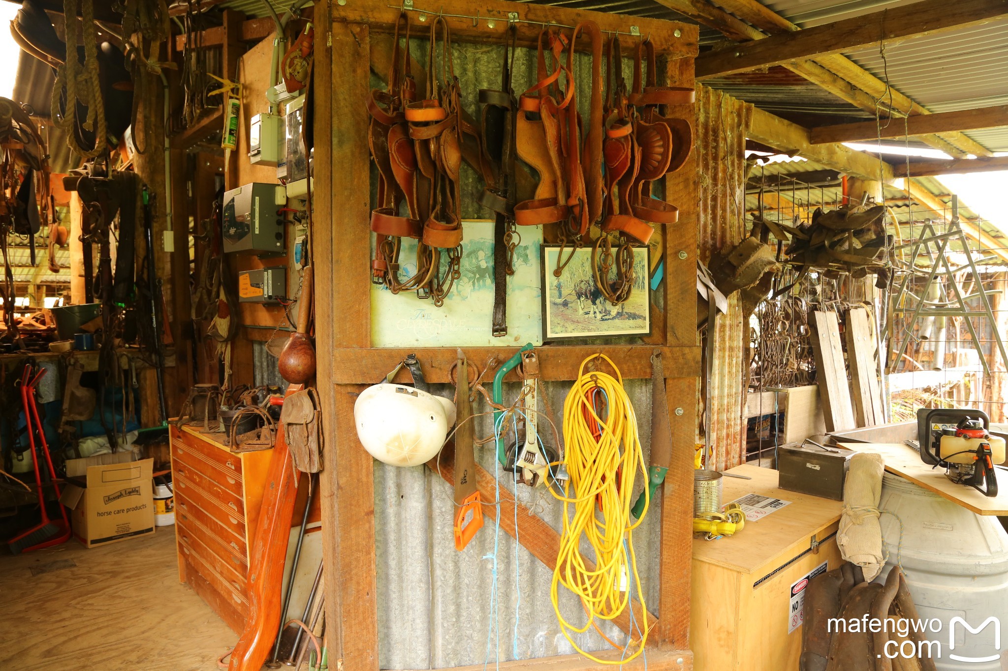 道、到地球的另一端看风景~澳洲东海岸悠闲自