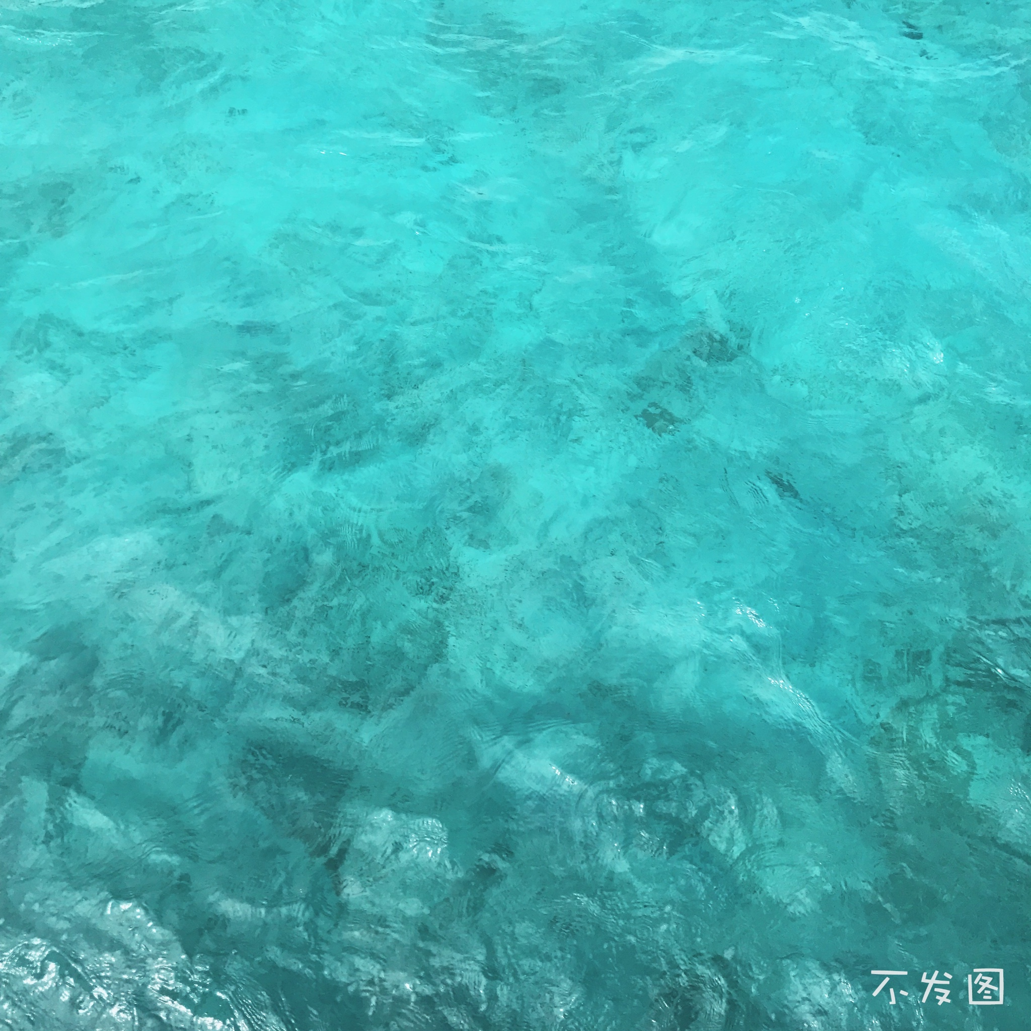 潜派旅行