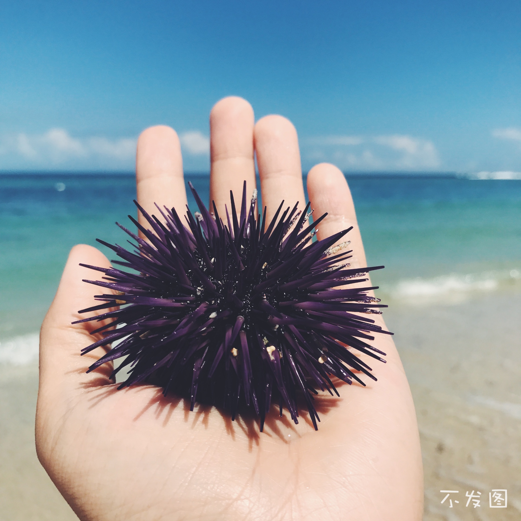 潜派旅行