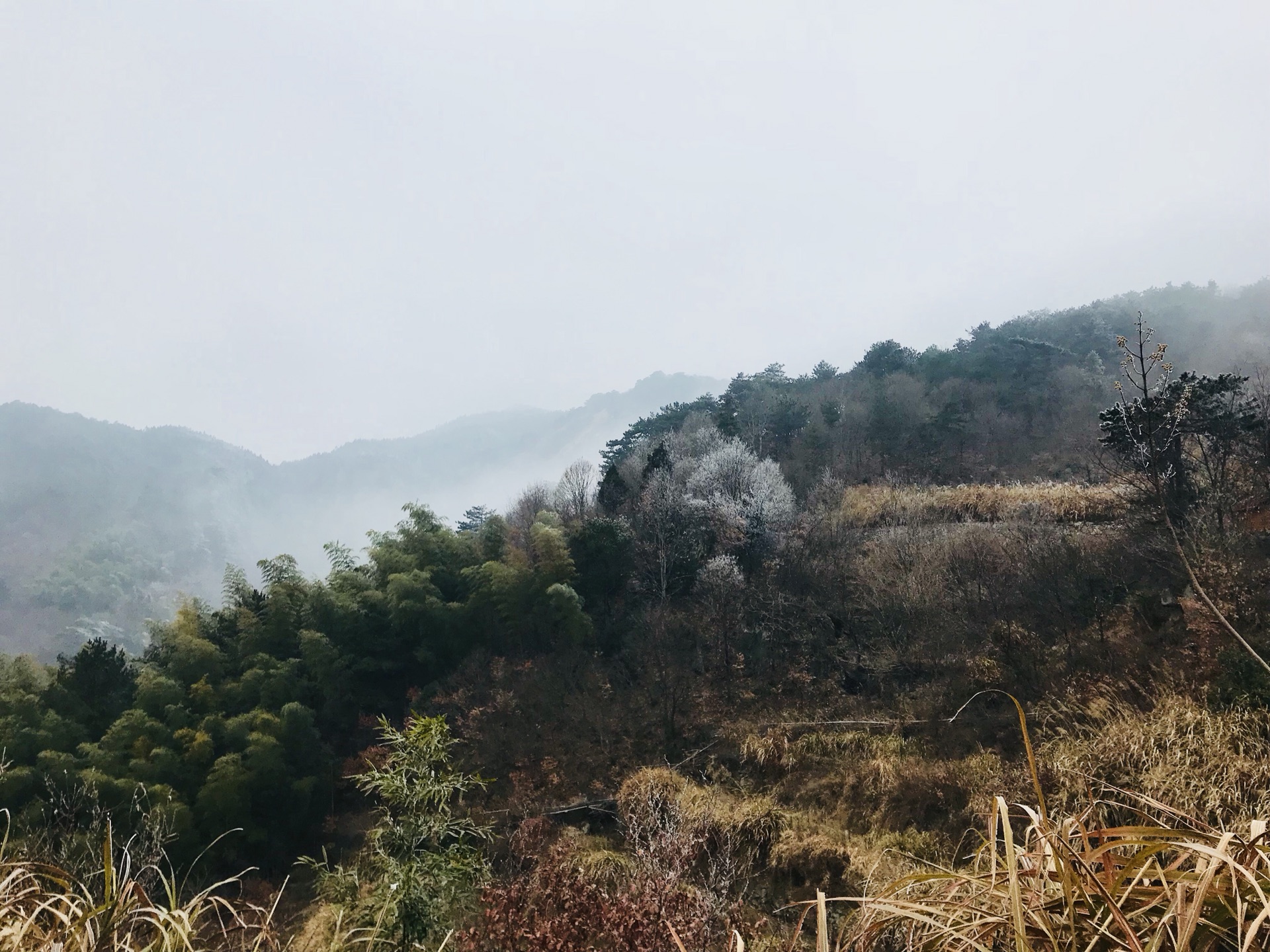 山穷水尽疑无路柳暗花明有奇景