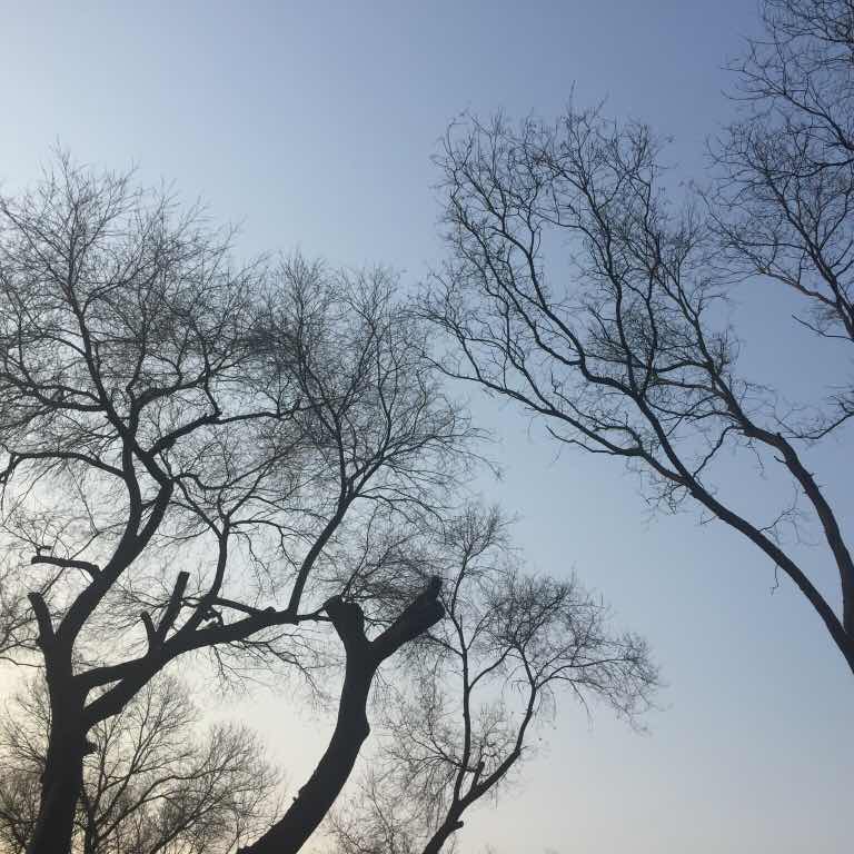 幸福满怀