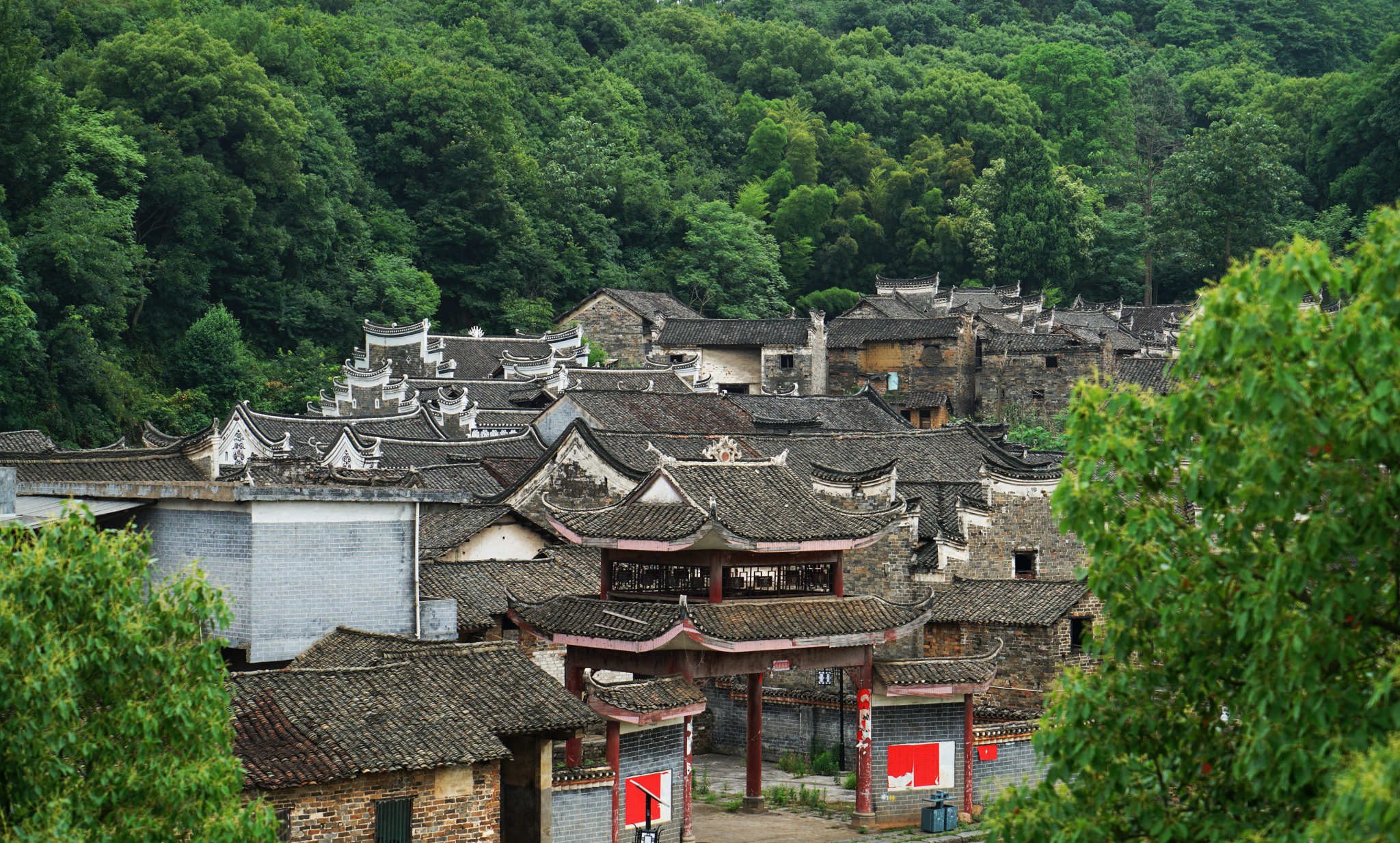 郴州,一场意想不到的邂逅