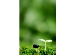 一岁时的我就很帅