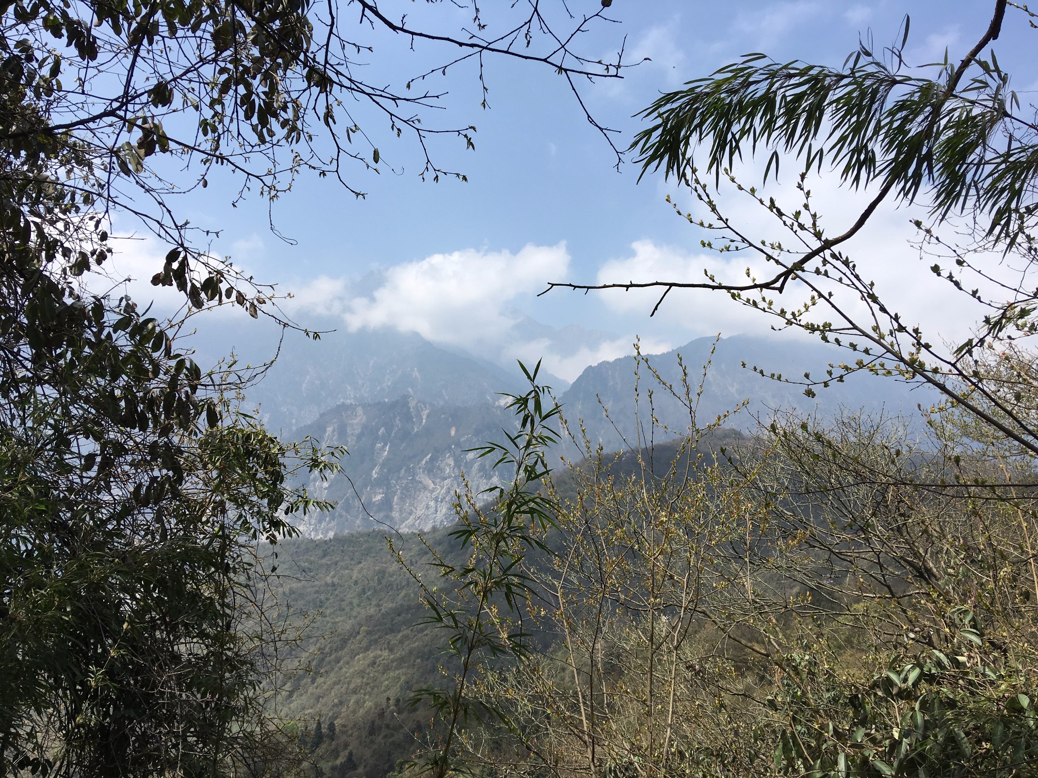 2018.04.10什邡市红白镇，钟鼎寺——金莲池_游记