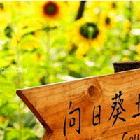 物物而不物于物