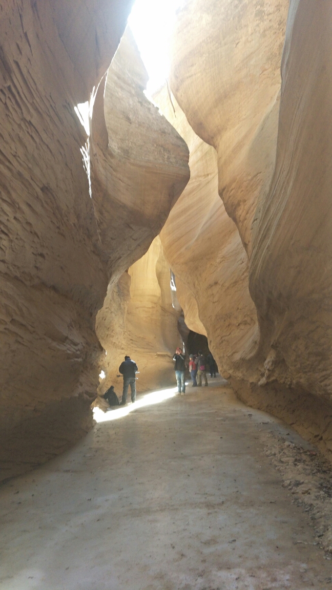 延安甘泉雨岔大峡谷旅游腾飞农家乐,专业接待旅游团队