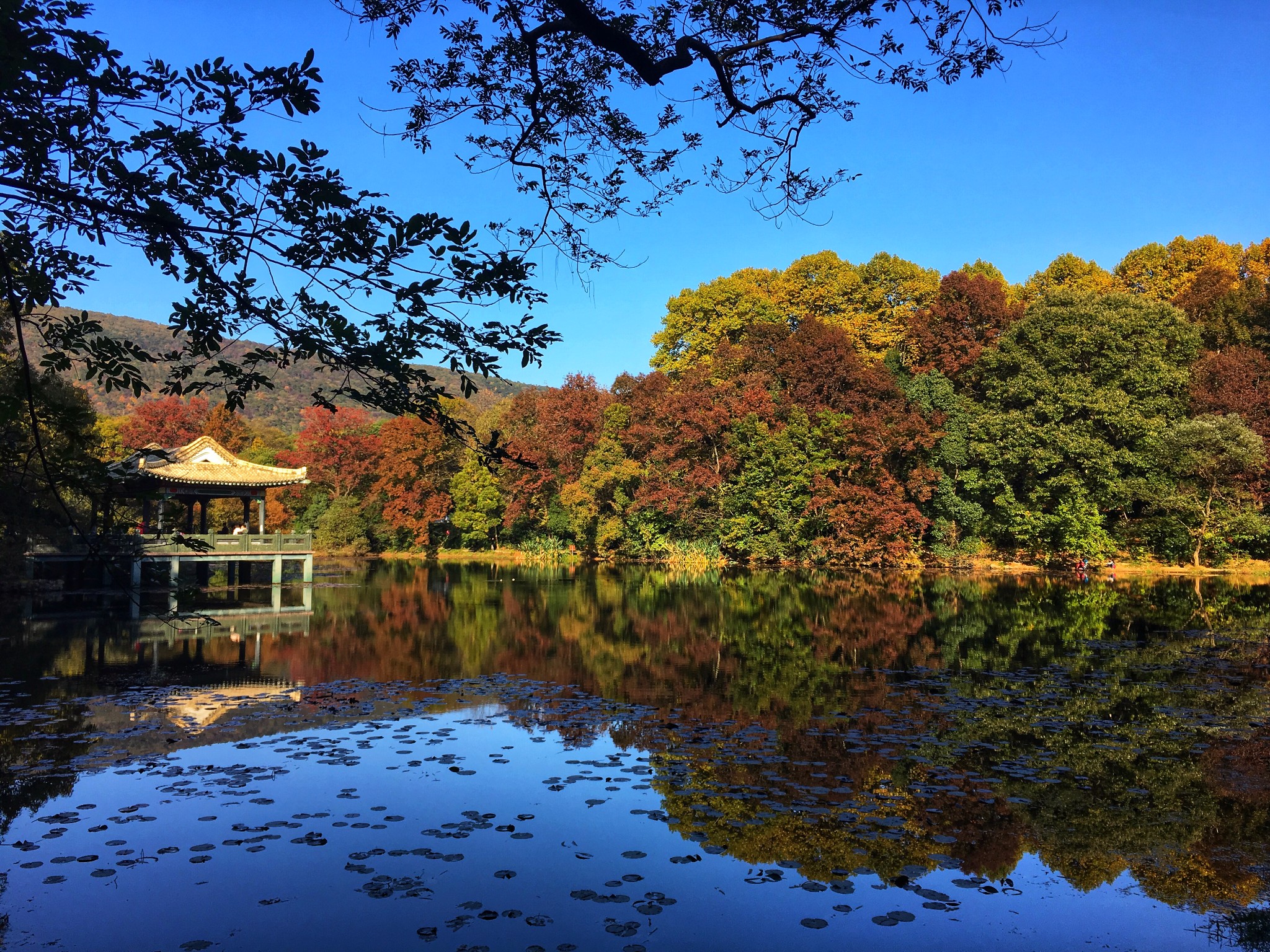 时间:全天 地址:灵谷寺公园景区东面,靠钟山体育公园北.