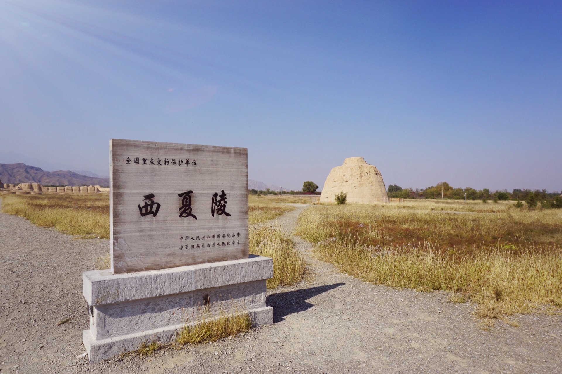 西夏王陵