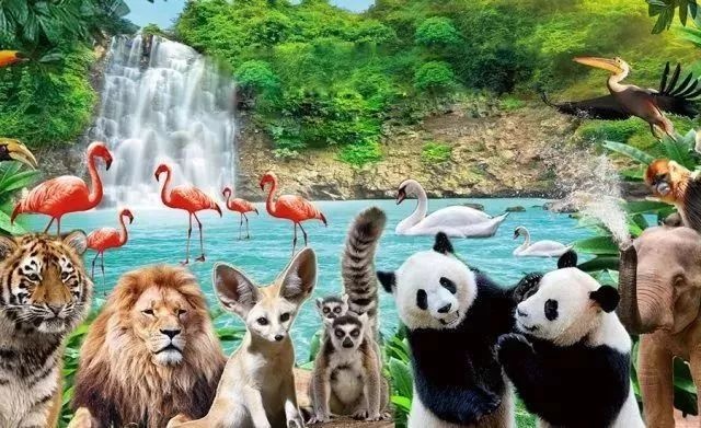 深圳野生动物园门票