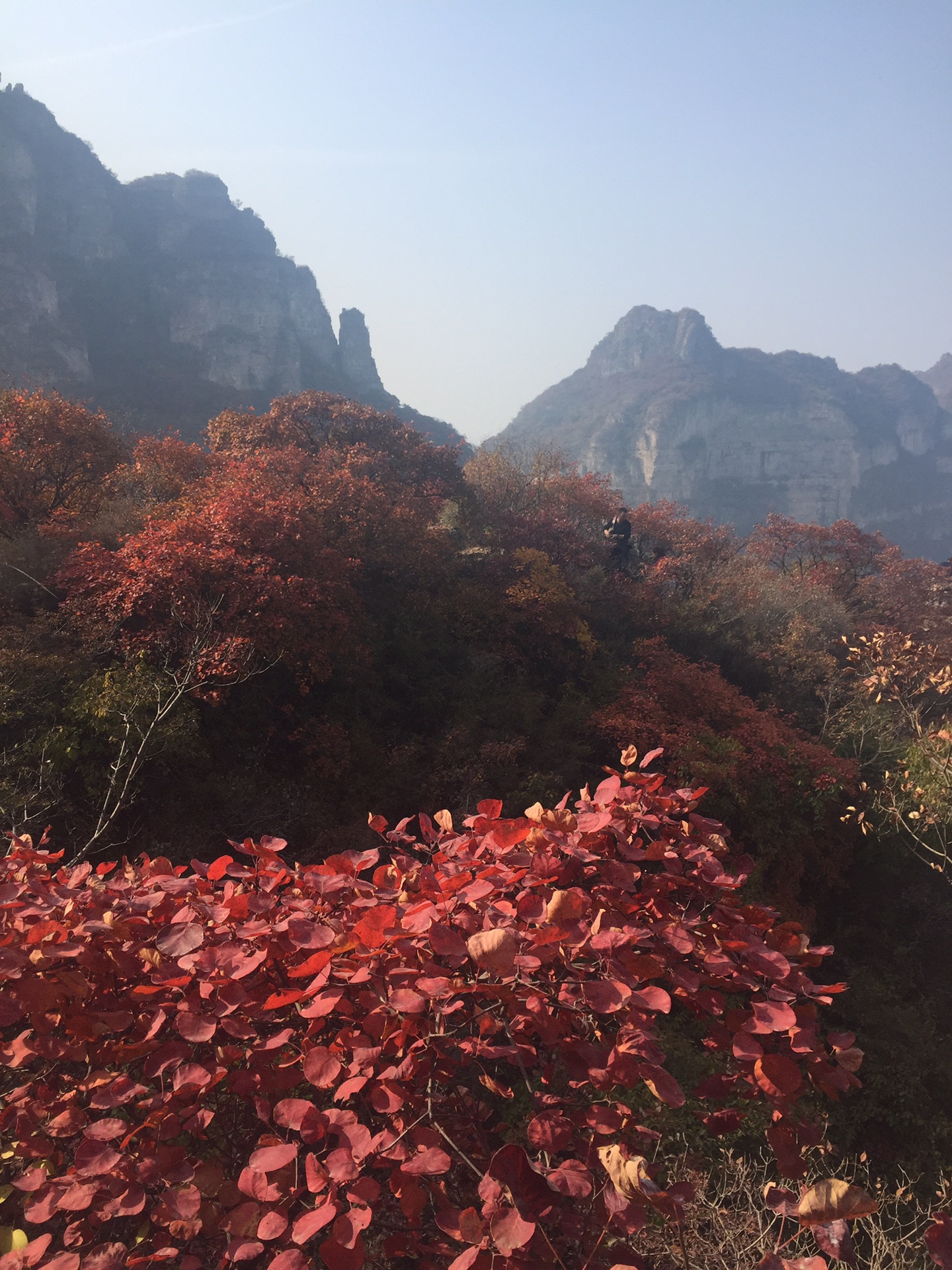 蚕姑坨秋色,易县旅游攻略 - 马蜂窝