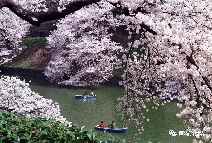潜派旅行