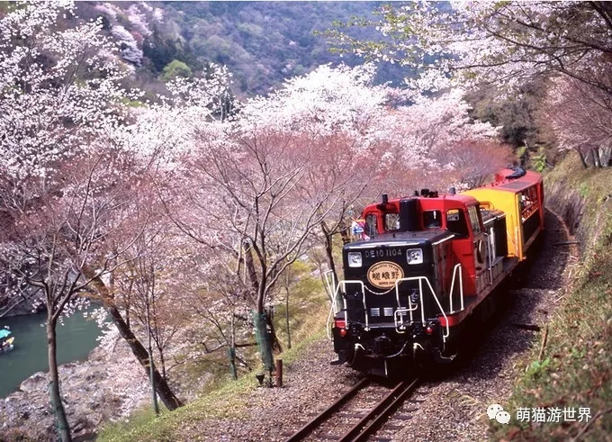 潜派旅行