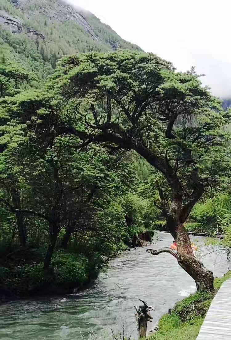 wKgED1vzc-iAH64EAAG3zoFoQ2Y82.jpeg?imageView2%2F2%2Fw%2F680%2Fq%2F90%7CimageMogr2%2Fstrip%2Fquality%2F90