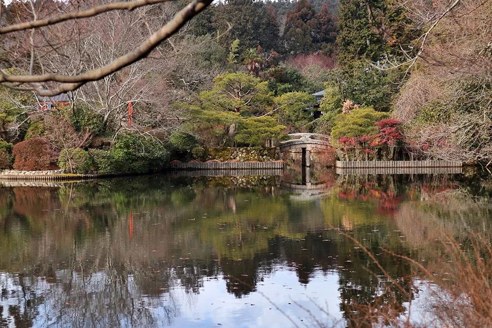 龙安寺除了枯山水外,还有一个超赞的水景庭园"镜容池,整个游览将环绕