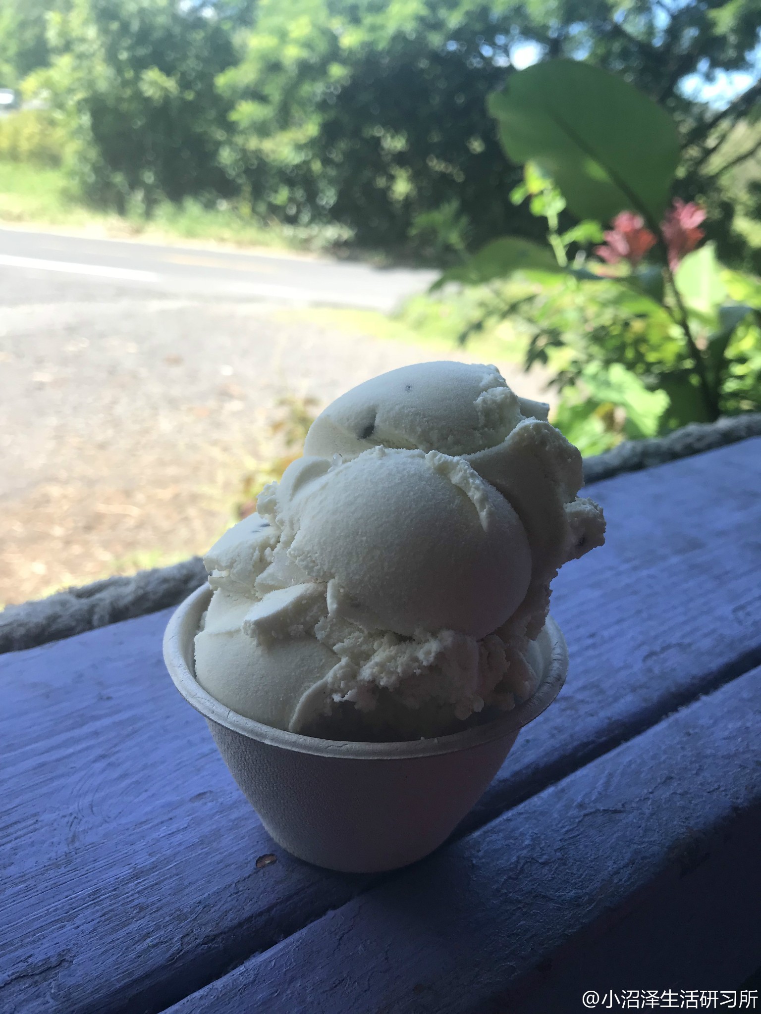 夏威夷美食-Coconut Glen’s Ice Cream