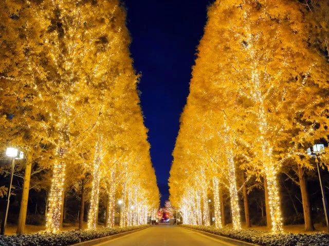 潜派旅行