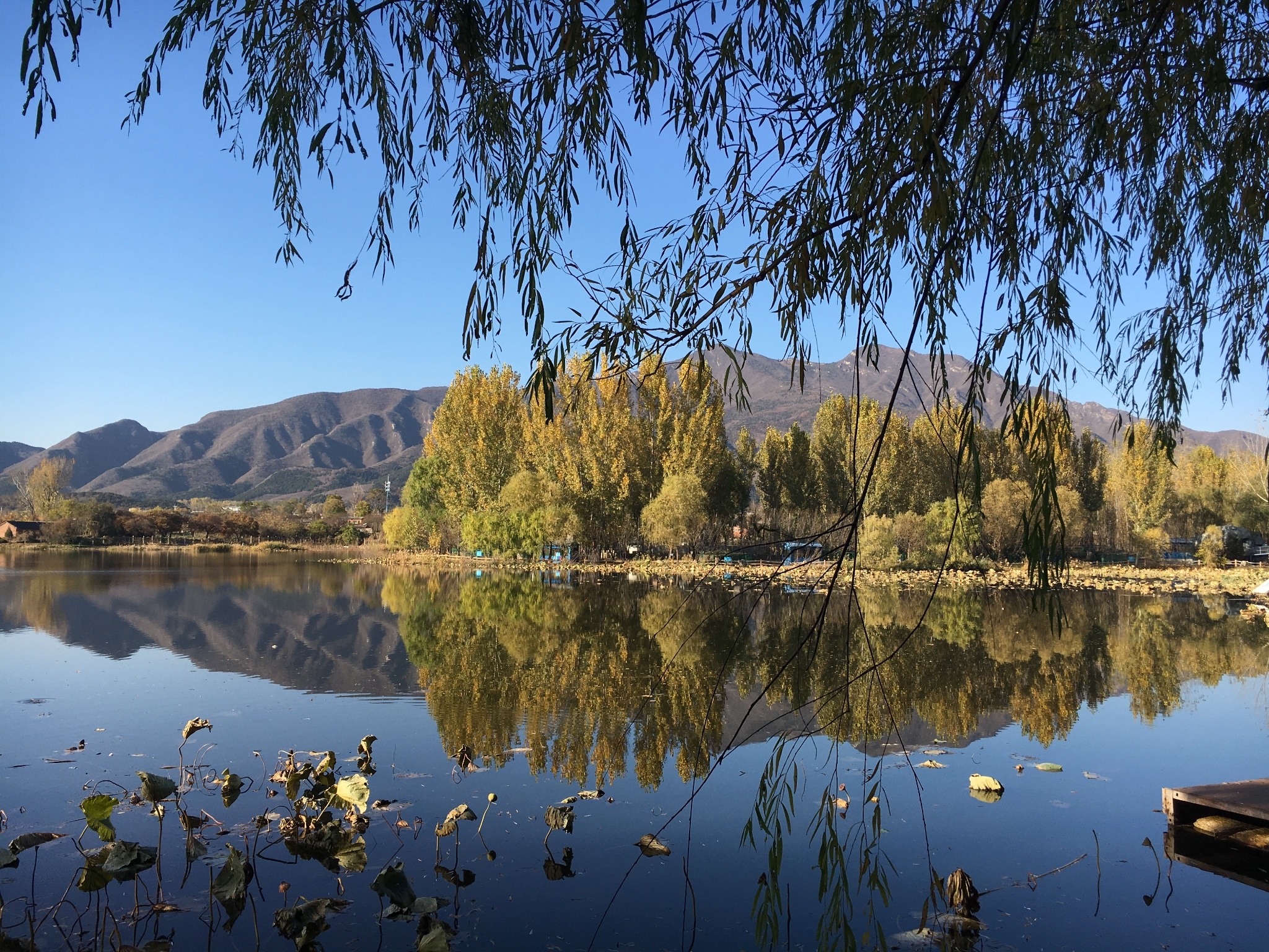 红螺湖鸟岛景区        