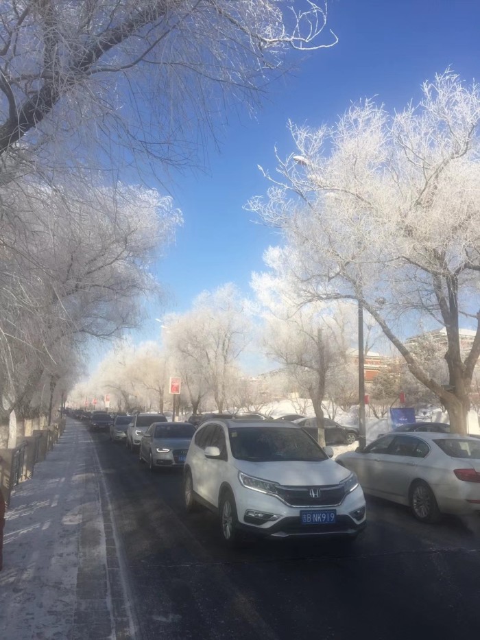 去吉林看雾凇最佳时间是什么时间段