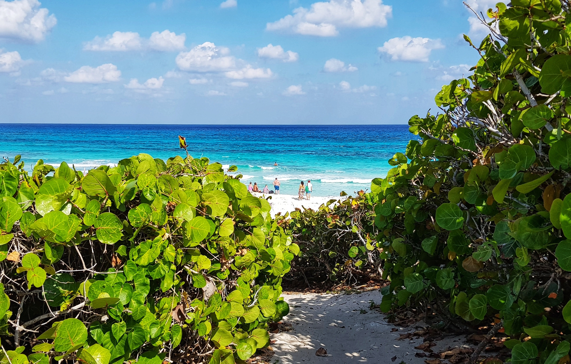 坎昆天堂海岸线（坎昆、女人岛、卡门海滩、图伦、西卡莱特）_游记