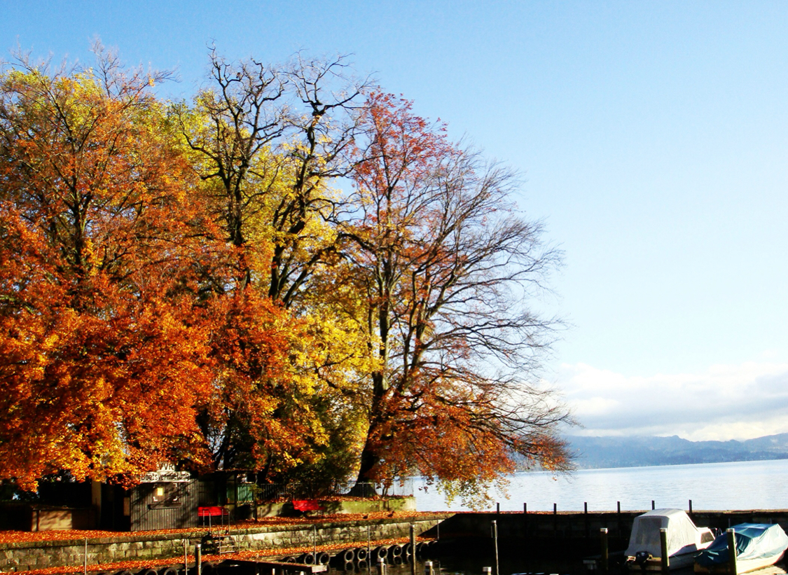 10月下旬要去趟维也纳，请问大家那个时候维也纳天气怎样