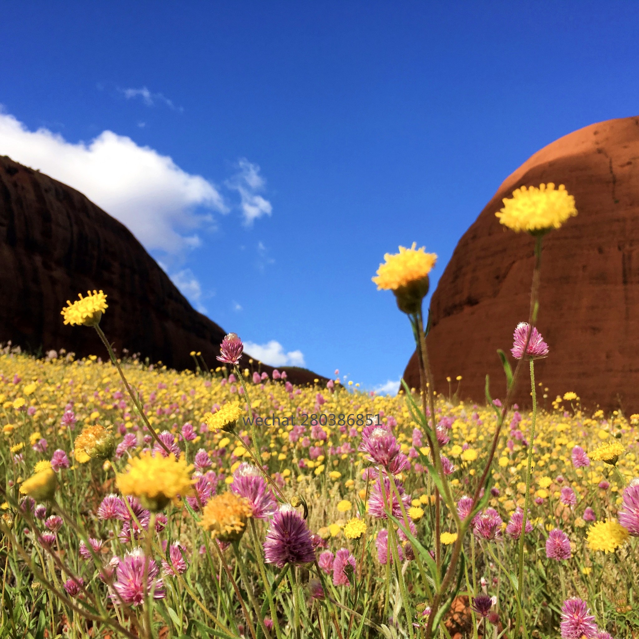 乌鲁鲁的天气怎样