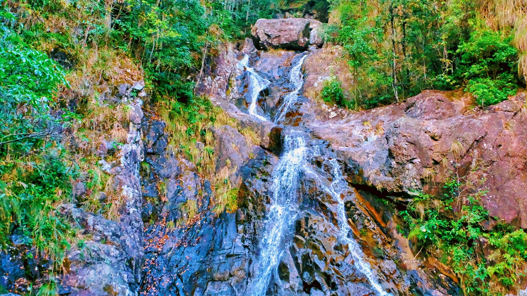 泰顺景点介绍,泰顺旅游景点,泰顺景点推荐 - 马蜂窝