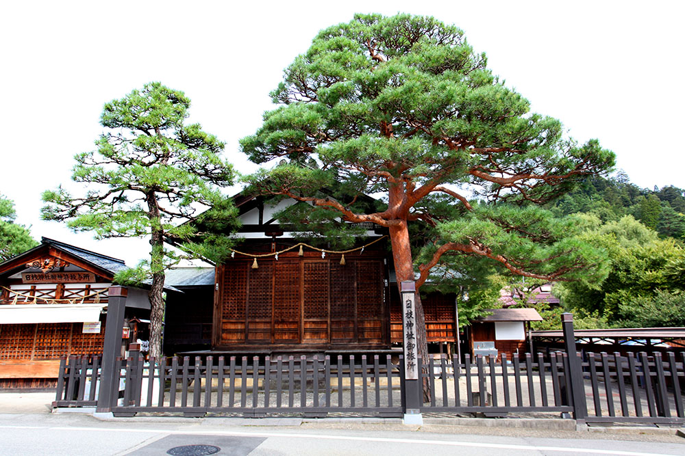 日本行（七）高山阵屋与上三町古街