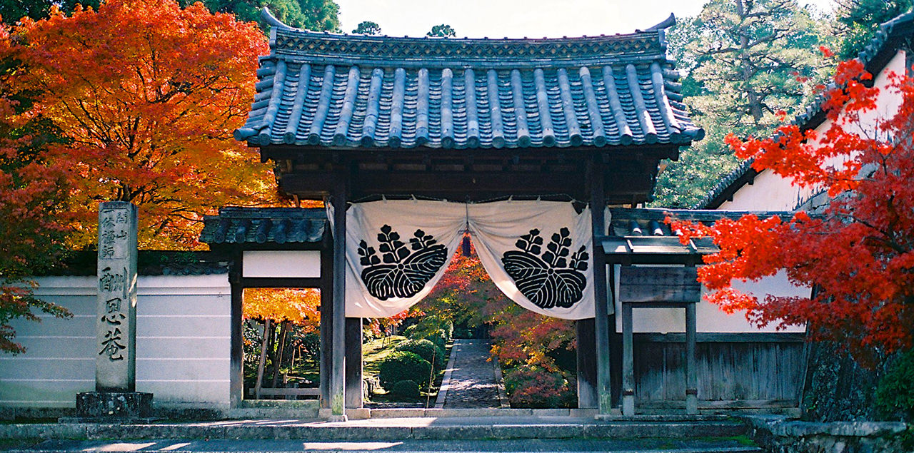 潜派旅行