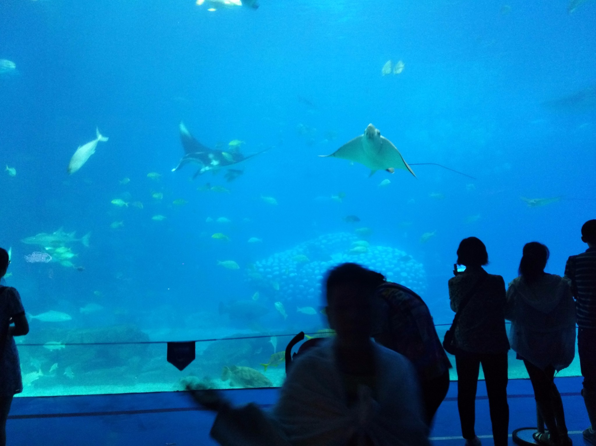 wKgED1uwNeqAMAuEAAaPODNuB0425.jpeg?imageView2%2F2%2Fw%2F600%2Fh%2F600%2Fq%2F90