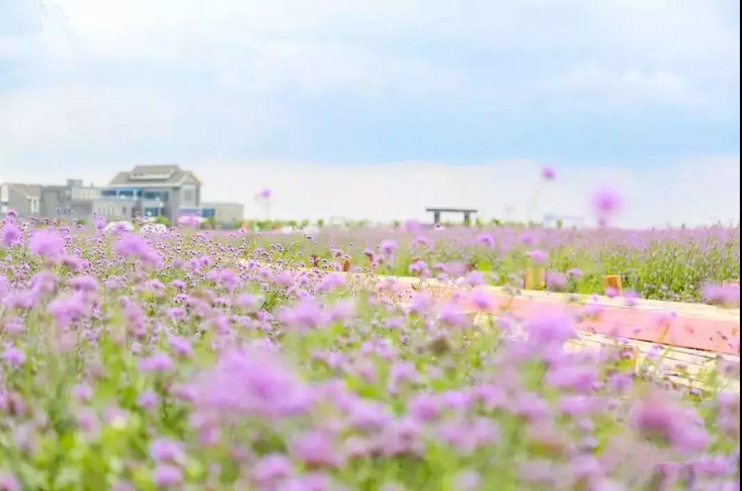 三天两夜!这座海边小城承包了浙东最美秋景，国庆带上全家去兜风!_游记