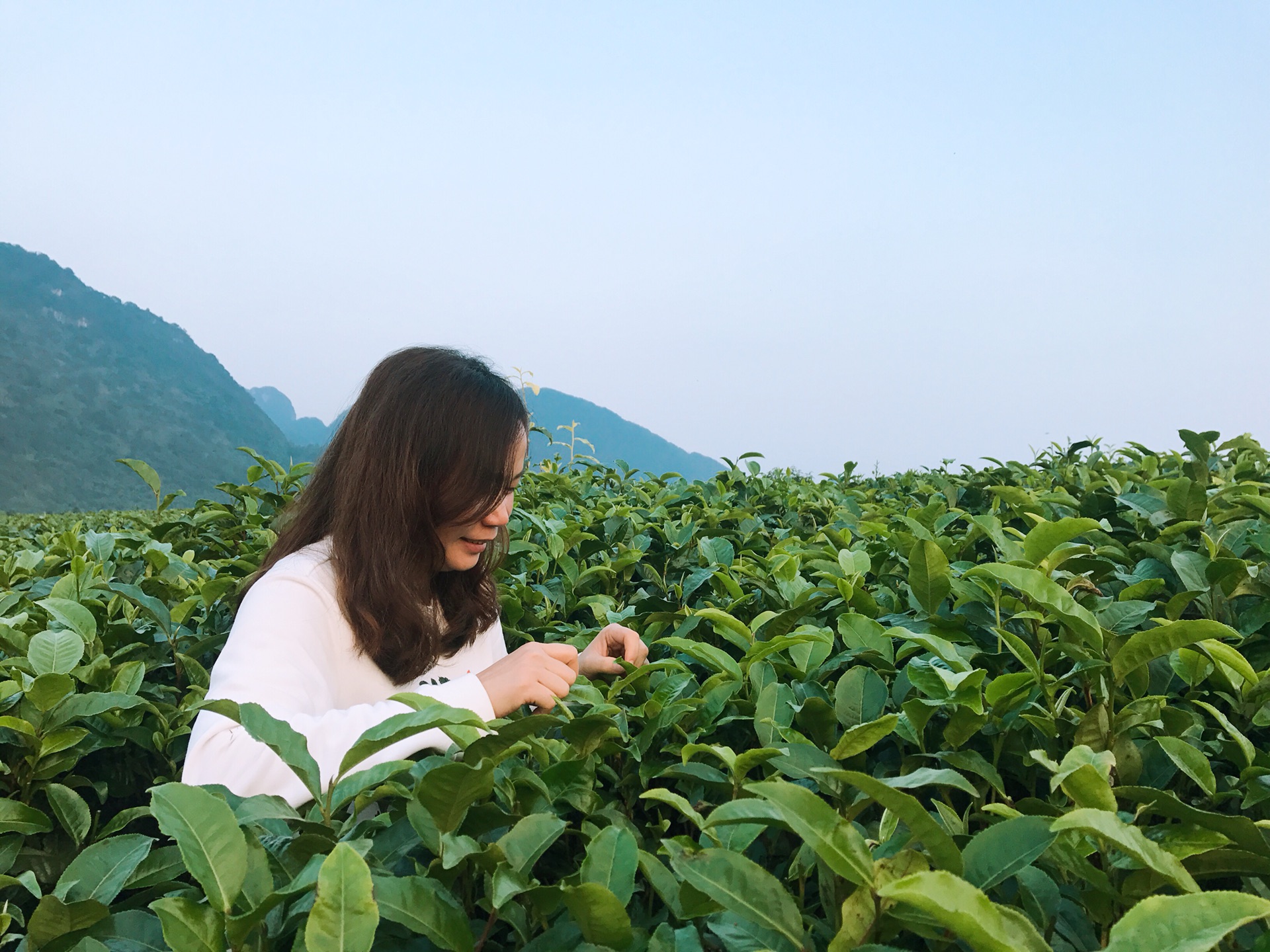 【英德石门台积庆里红茶谷】度假|秋风飒爽*轻装徒步