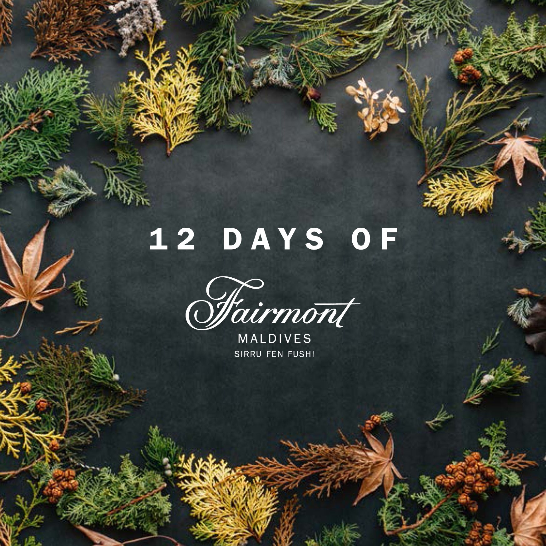 秘密水岛节日季狂欢The Joys of the Festive Season Fairmont_游记