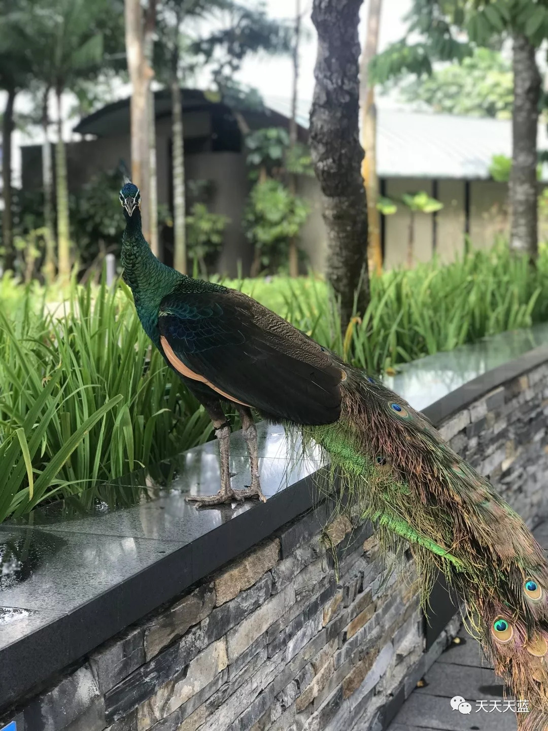 潜派旅行