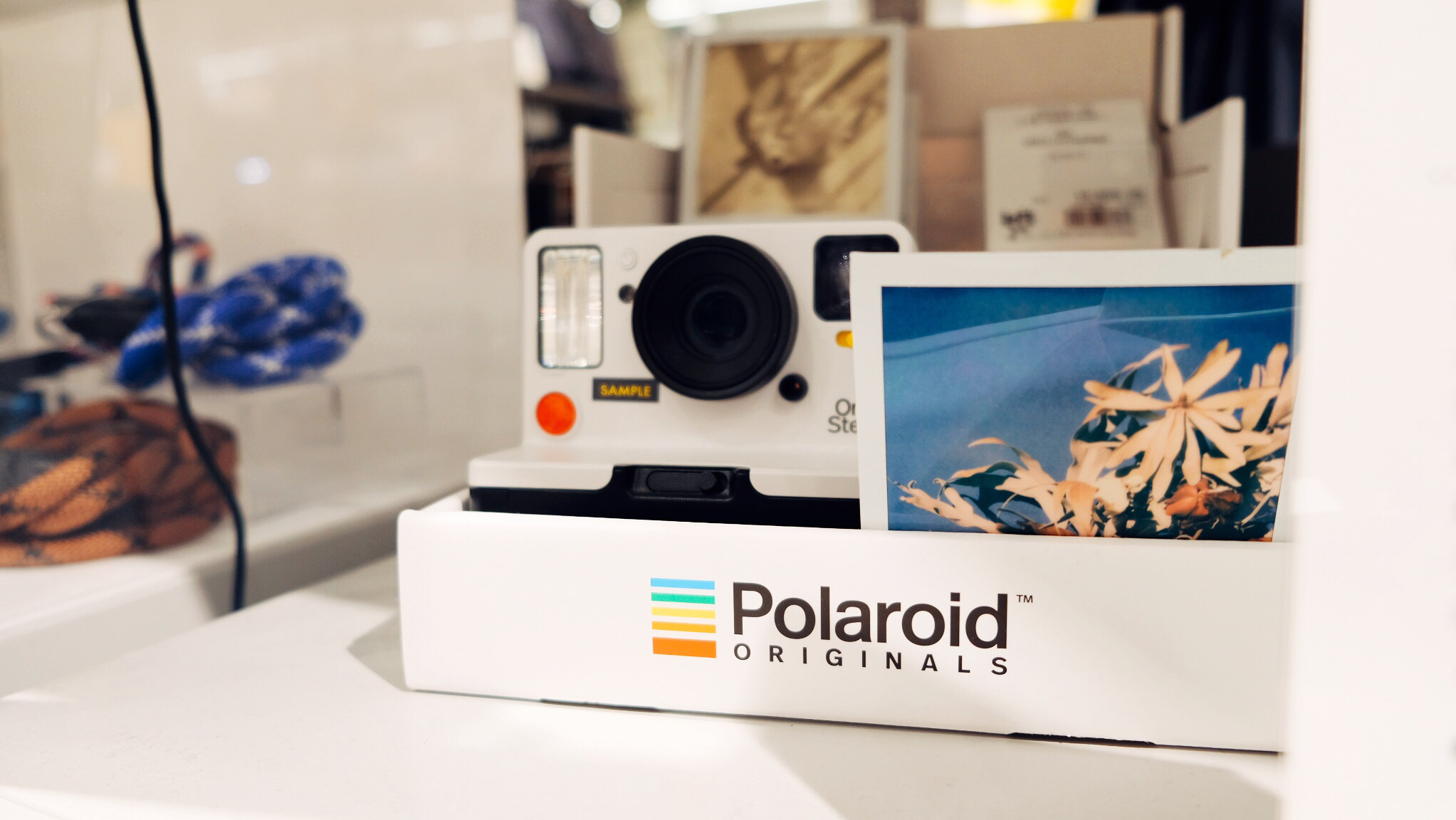 东京美食-豊洲ラーメン