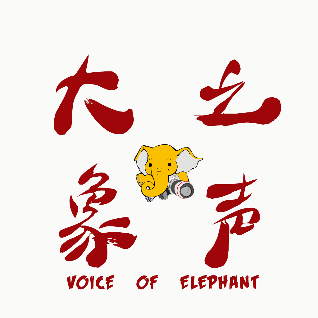 【双江图片】大象之声